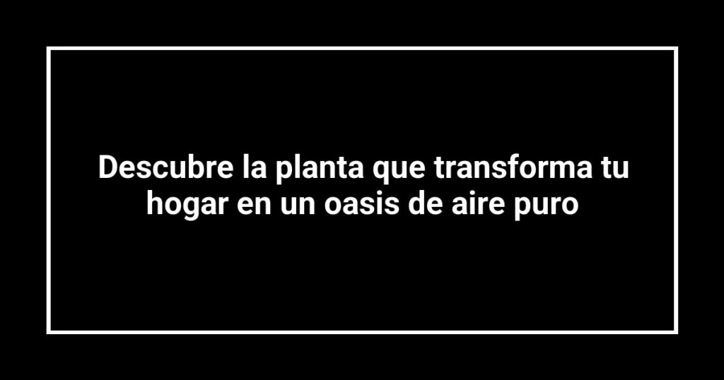 Descubre la planta que transforma tu hogar en un oasis de aire puro