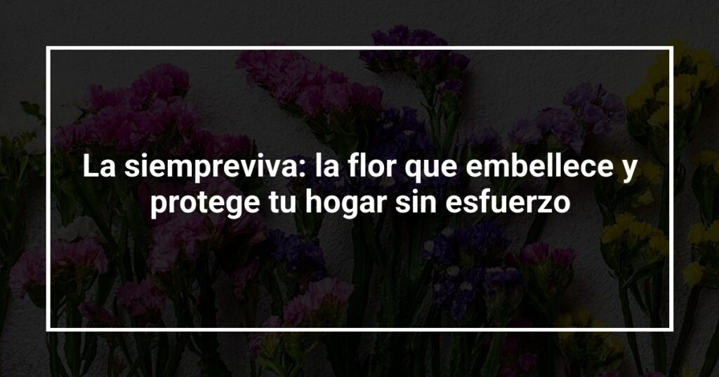 La siempreviva: la flor que embellece y protege tu hogar sin esfuerzo