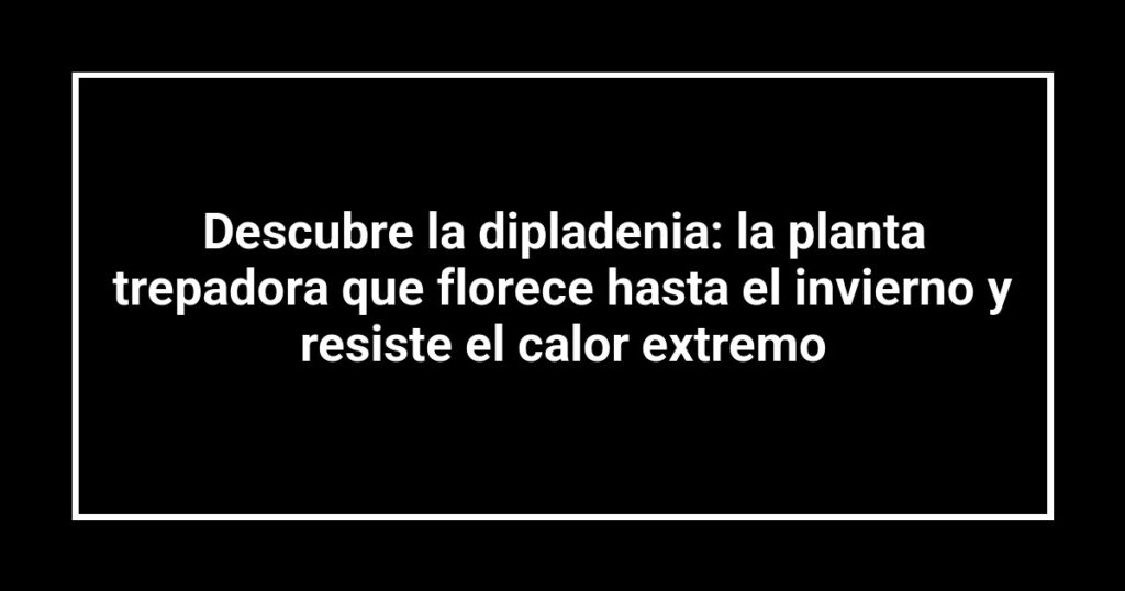 Descubre la dipladenia: la planta trepadora que florece hasta el invierno y resiste el calor extremo
