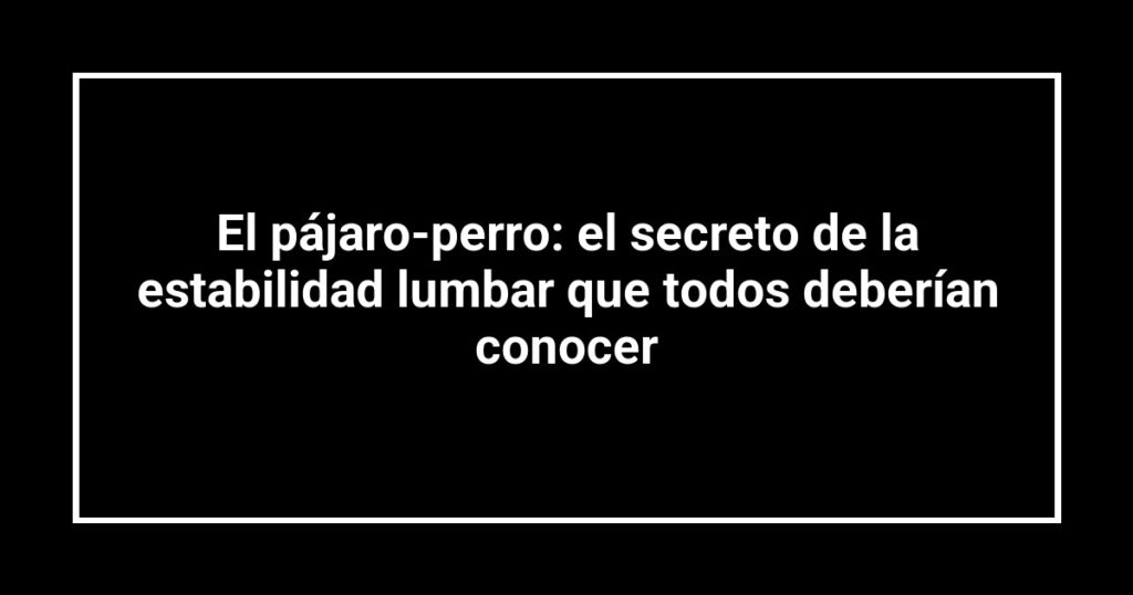 El pájaro-perro: el secreto de la estabilidad lumbar que todos deberían conocer