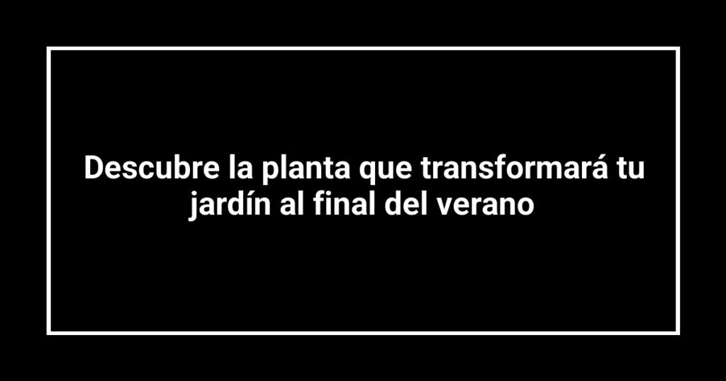 Descubre la planta que transformará tu jardín al final del verano